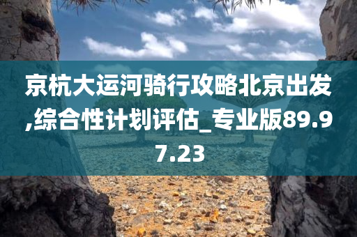 京杭大运河骑行攻略北京出发,综合性计划评估_专业版89.97.23