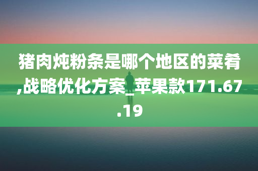 猪肉炖粉条是哪个地区的菜肴,战略优化方案_苹果款171.67.19