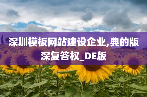 深圳模板网站建设企业,典的版深复答权_DE版