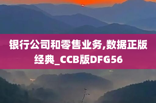 银行公司和零售业务,数据正版经典_CCB版DFG56