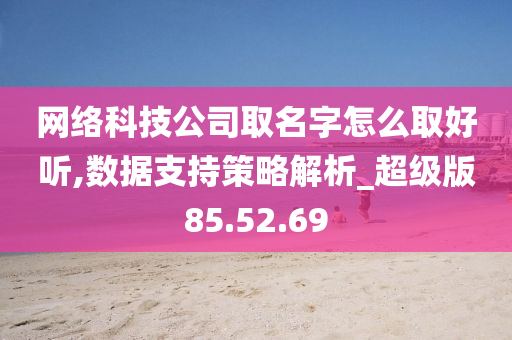 网络科技公司取名字怎么取好听,数据支持策略解析_超级版85.52.69