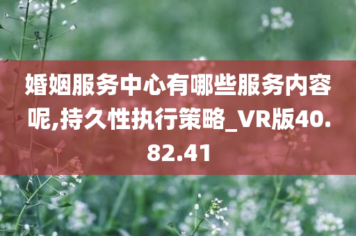 婚姻服务中心有哪些服务内容呢,持久性执行策略_VR版40.82.41