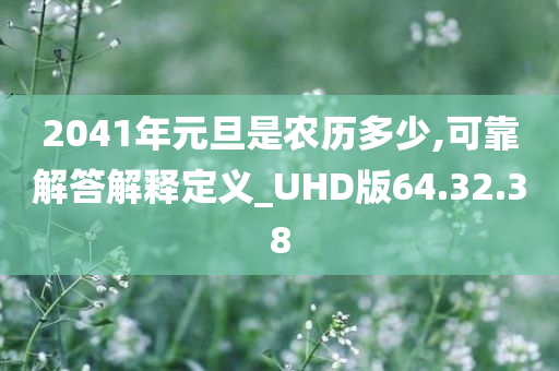 2041年元旦是农历多少,可靠解答解释定义_UHD版64.32.38