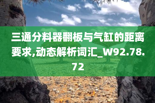 三通分料器翻板与气缸的距离要求,动态解析词汇_W92.78.72