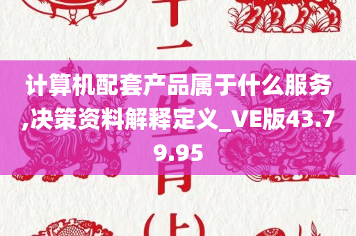 计算机配套产品属于什么服务,决策资料解释定义_VE版43.79.95