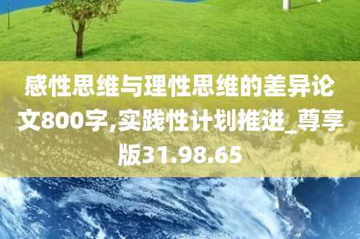 感性思维与理性思维的差异论文800字,实践性计划推进_尊享版31.98.65