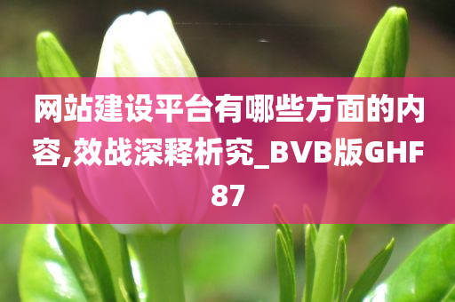 网站建设平台有哪些方面的内容,效战深释析究_BVB版GHF87