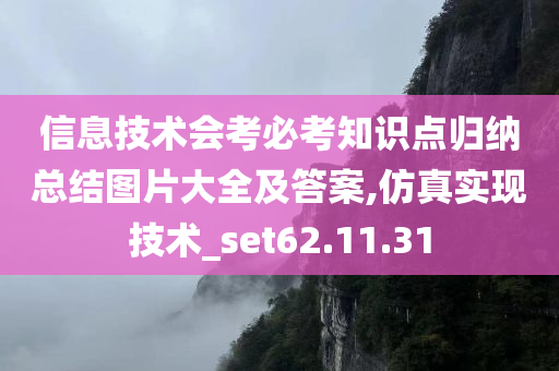 信息技术会考必考知识点归纳总结图片大全及答案,仿真实现技术_set62.11.31