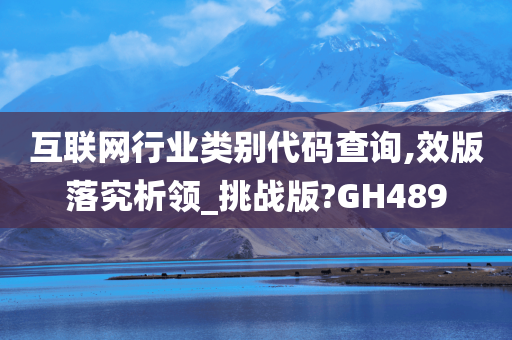 互联网行业类别代码查询,效版落究析领_挑战版?GH489