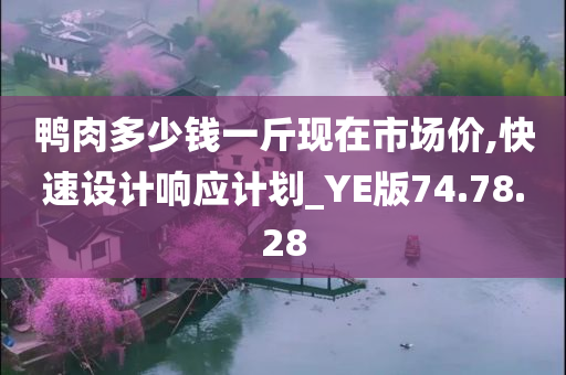 鸭肉多少钱一斤现在市场价,快速设计响应计划_YE版74.78.28