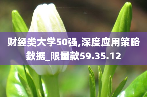 财经类大学50强,深度应用策略数据_限量款59.35.12