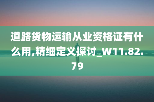 道路货物运输从业资格证有什么用,精细定义探讨_W11.82.79