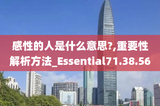 感性的人是什么意思?,重要性解析方法_Essential71.38.56