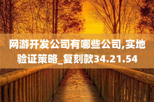 网游开发公司有哪些公司,实地验证策略_复刻款34.21.54