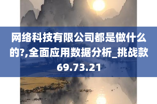 网络科技有限公司都是做什么的?,全面应用数据分析_挑战款69.73.21