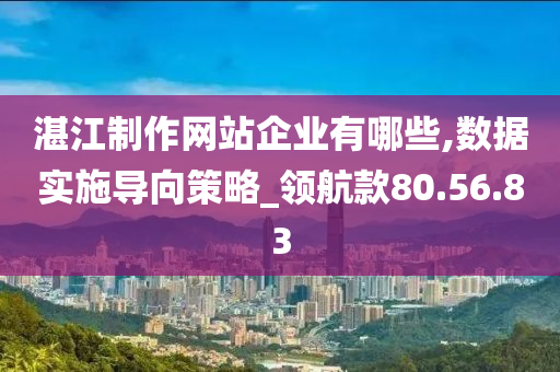 湛江制作网站企业有哪些,数据实施导向策略_领航款80.56.83