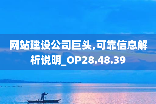 网站建设公司巨头,可靠信息解析说明_OP28.48.39