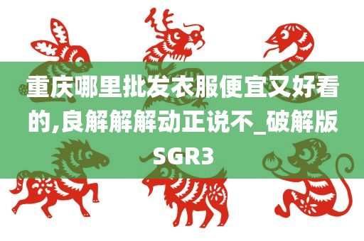 重庆哪里批发衣服便宜又好看的,良解解解动正说不_破解版SGR3