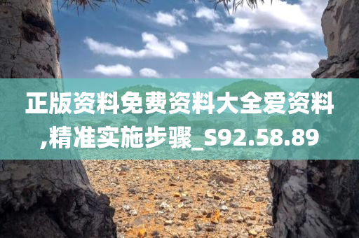 正版资料免费资料大全爱资料,精准实施步骤_S92.58.89