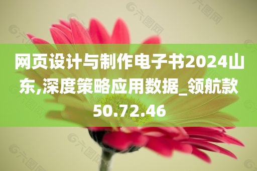 网页设计与制作电子书2024山东,深度策略应用数据_领航款50.72.46