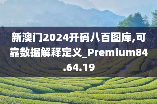 新澳门2024开码八百图库,可靠数据解释定义_Premium84.64.19