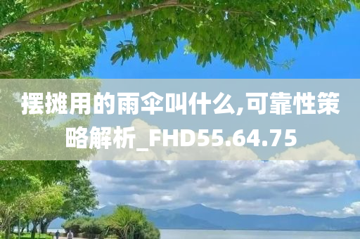 摆摊用的雨伞叫什么,可靠性策略解析_FHD55.64.75