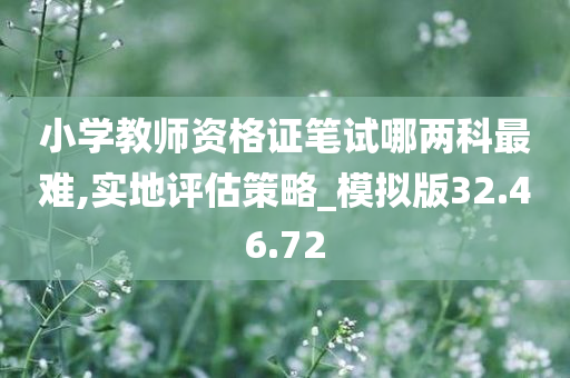 小学教师资格证笔试哪两科最难,实地评估策略_模拟版32.46.72