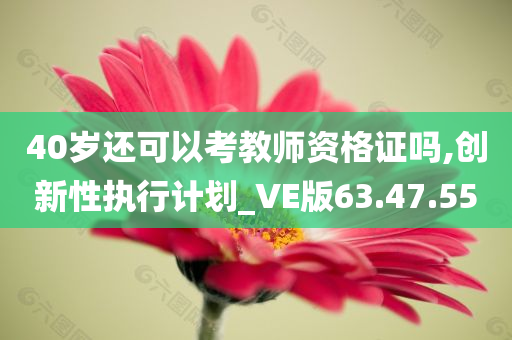 40岁还可以考教师资格证吗,创新性执行计划_VE版63.47.55