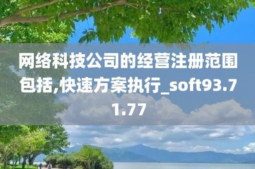 网络科技公司的经营注册范围包括,快速方案执行_soft93.71.77