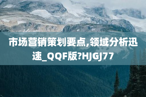 市场营销策划要点,领域分析迅速_QQF版?HJGJ77