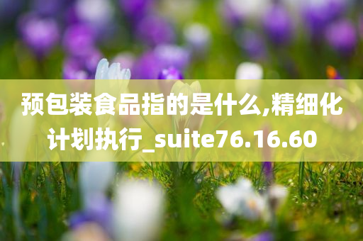 预包装食品指的是什么,精细化计划执行_suite76.16.60