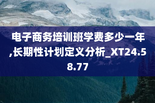 电子商务培训班学费多少一年,长期性计划定义分析_XT24.58.77