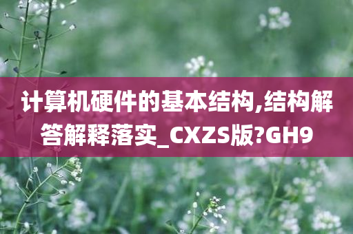 计算机硬件的基本结构,结构解答解释落实_CXZS版?GH9