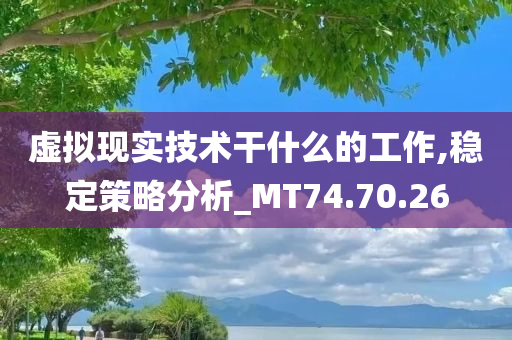 虚拟现实技术干什么的工作,稳定策略分析_MT74.70.26