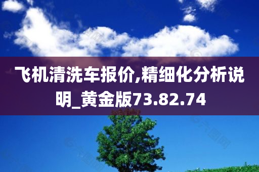 飞机清洗车报价,精细化分析说明_黄金版73.82.74