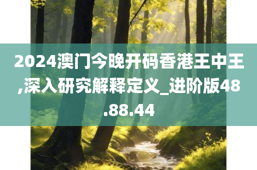 2024澳门今晚开码香港王中王,深入研究解释定义_进阶版48.88.44