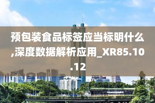 预包装食品标签应当标明什么,深度数据解析应用_XR85.10.12