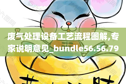 废气处理设备工艺流程图解,专家说明意见_bundle56.56.79