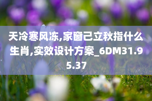 天冷寒风冻,家窗己立秋指什么生肖,实效设计方案_6DM31.95.37