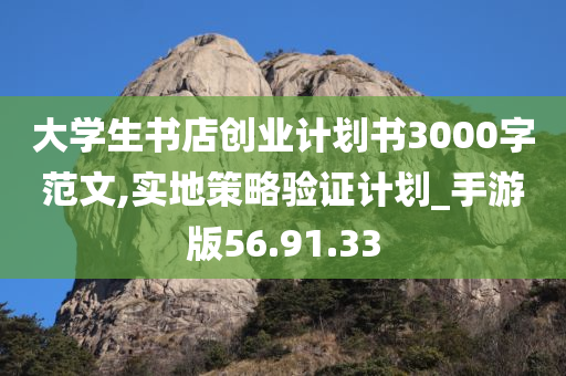 大学生书店创业计划书3000字范文,实地策略验证计划_手游版56.91.33