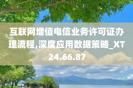 互联网增值电信业务许可证办理流程,深度应用数据策略_XT24.66.87