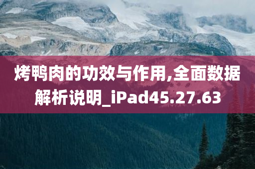 烤鸭肉的功效与作用,全面数据解析说明_iPad45.27.63