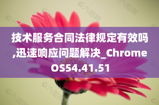 技术服务合同法律规定有效吗,迅速响应问题解决_ChromeOS54.41.51