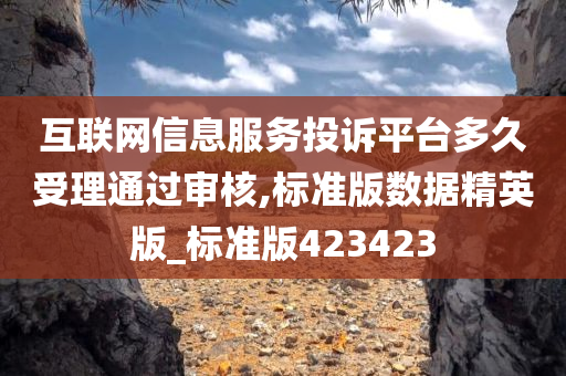 互联网信息服务投诉平台多久受理通过审核,标准版数据精英版_标准版423423