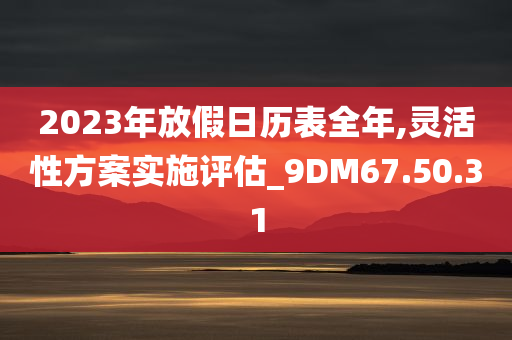 2023年放假日历表全年,灵活性方案实施评估_9DM67.50.31