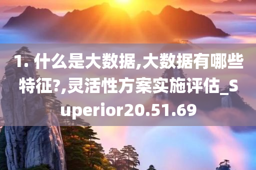 1. 什么是大数据,大数据有哪些特征?,灵活性方案实施评估_Superior20.51.69