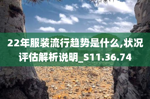 22年服装流行趋势是什么,状况评估解析说明_S11.36.74