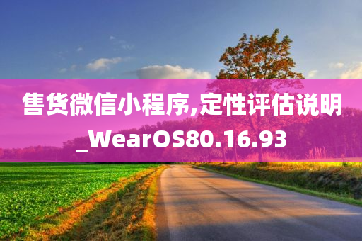 售货微信小程序,定性评估说明_WearOS80.16.93