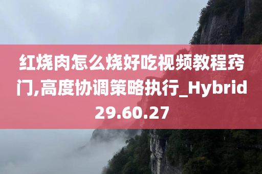 红烧肉怎么烧好吃视频教程窍门,高度协调策略执行_Hybrid29.60.27