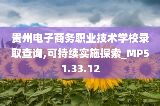 贵州电子商务职业技术学校录取查询,可持续实施探索_MP51.33.12